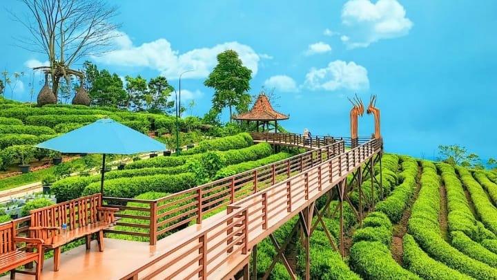 travel cilacap bandung